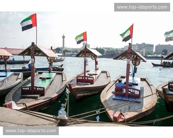 波尔多vs维迪奥:葡萄酒世界的双雄对决,探寻舌尖上的奢华与激情